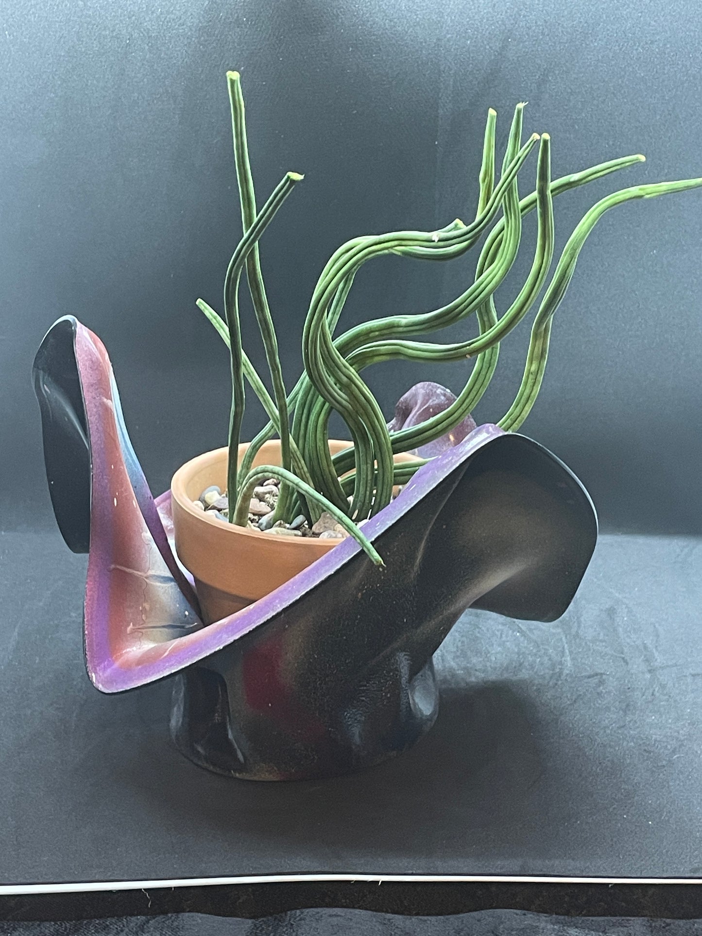 Nebula (SOLD)