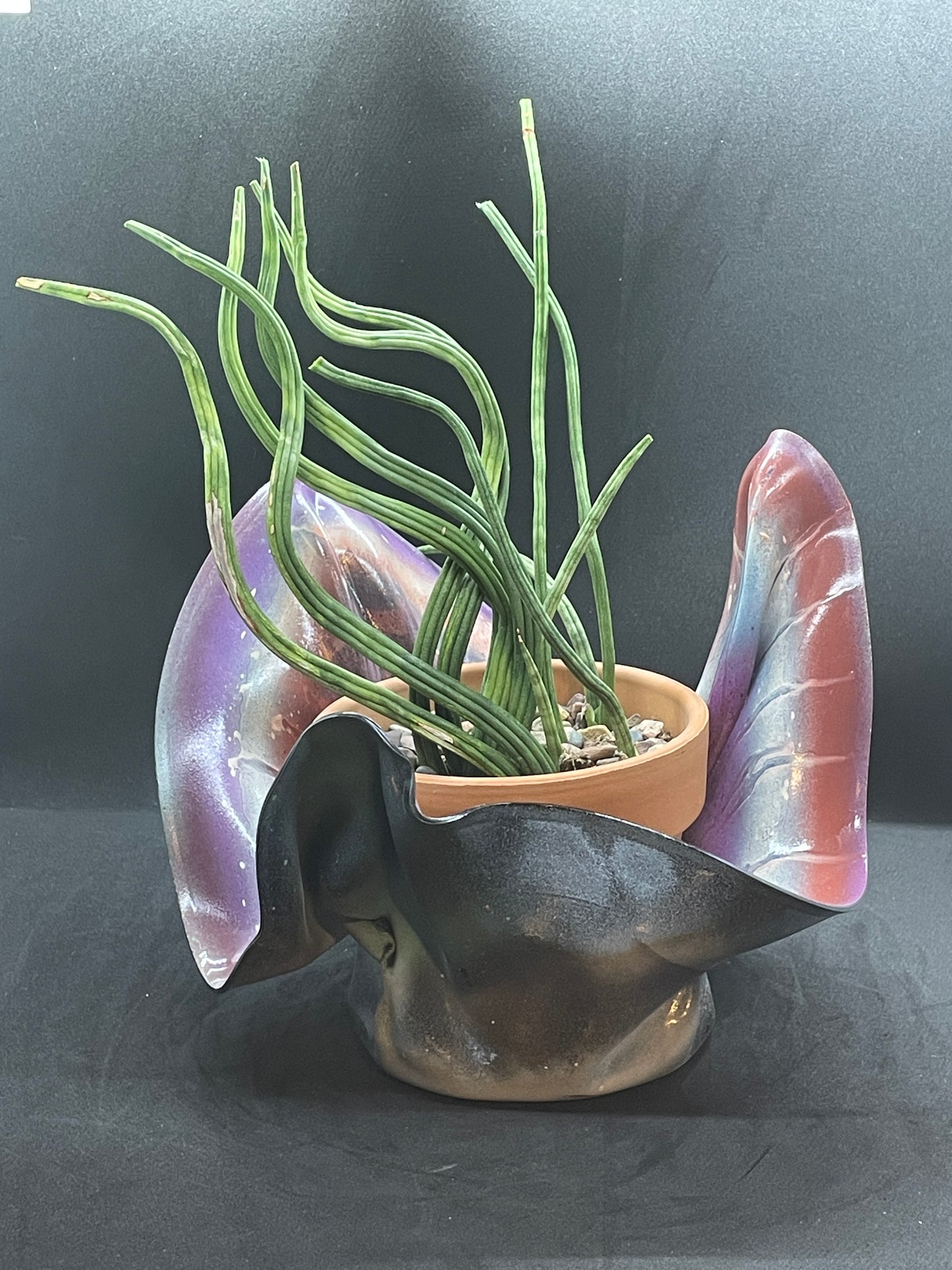 Nebula (SOLD)