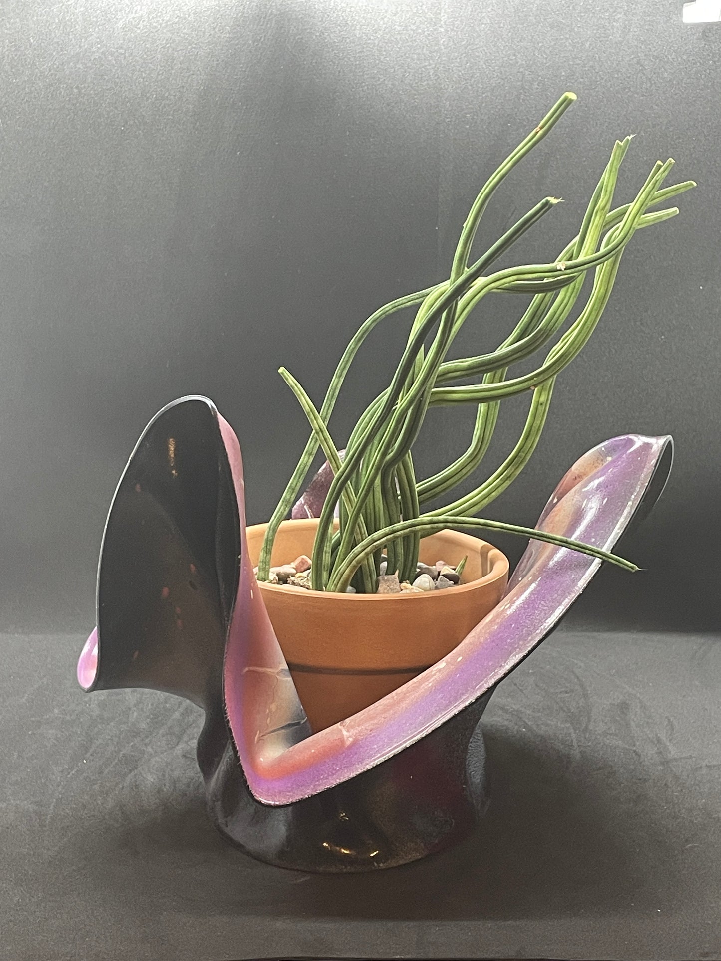 Nebula (SOLD)